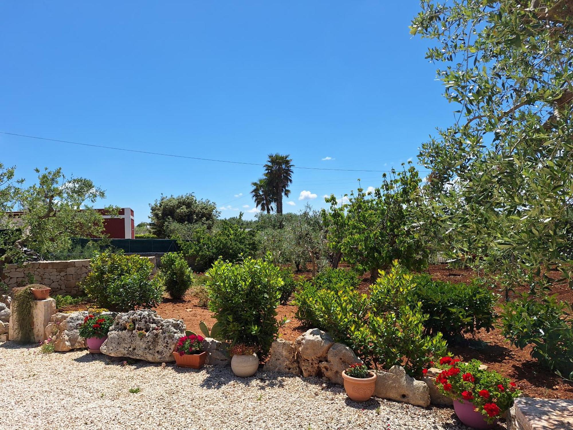 Ferienwohnung Baciati Dal Sole Martina Franca Exterior foto