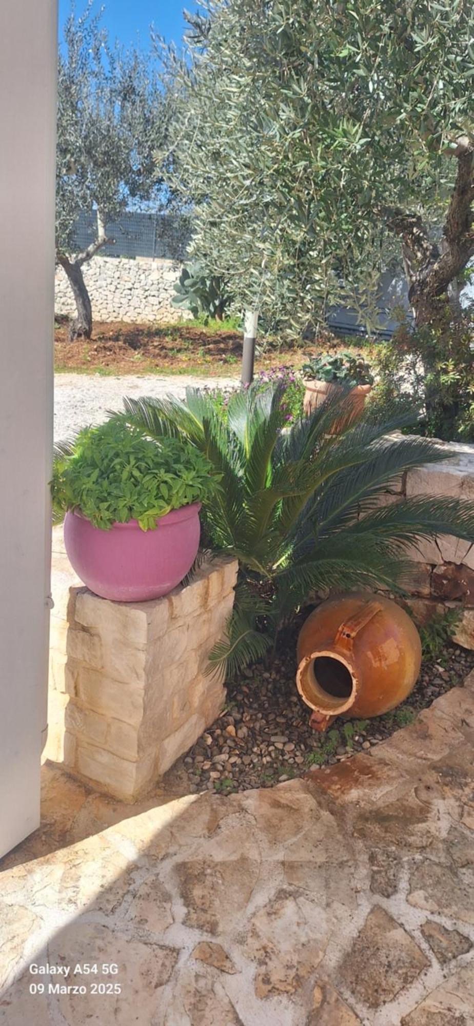 Ferienwohnung Baciati Dal Sole Martina Franca Exterior foto
